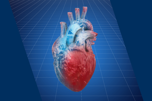 digital visualizaiton of a heart