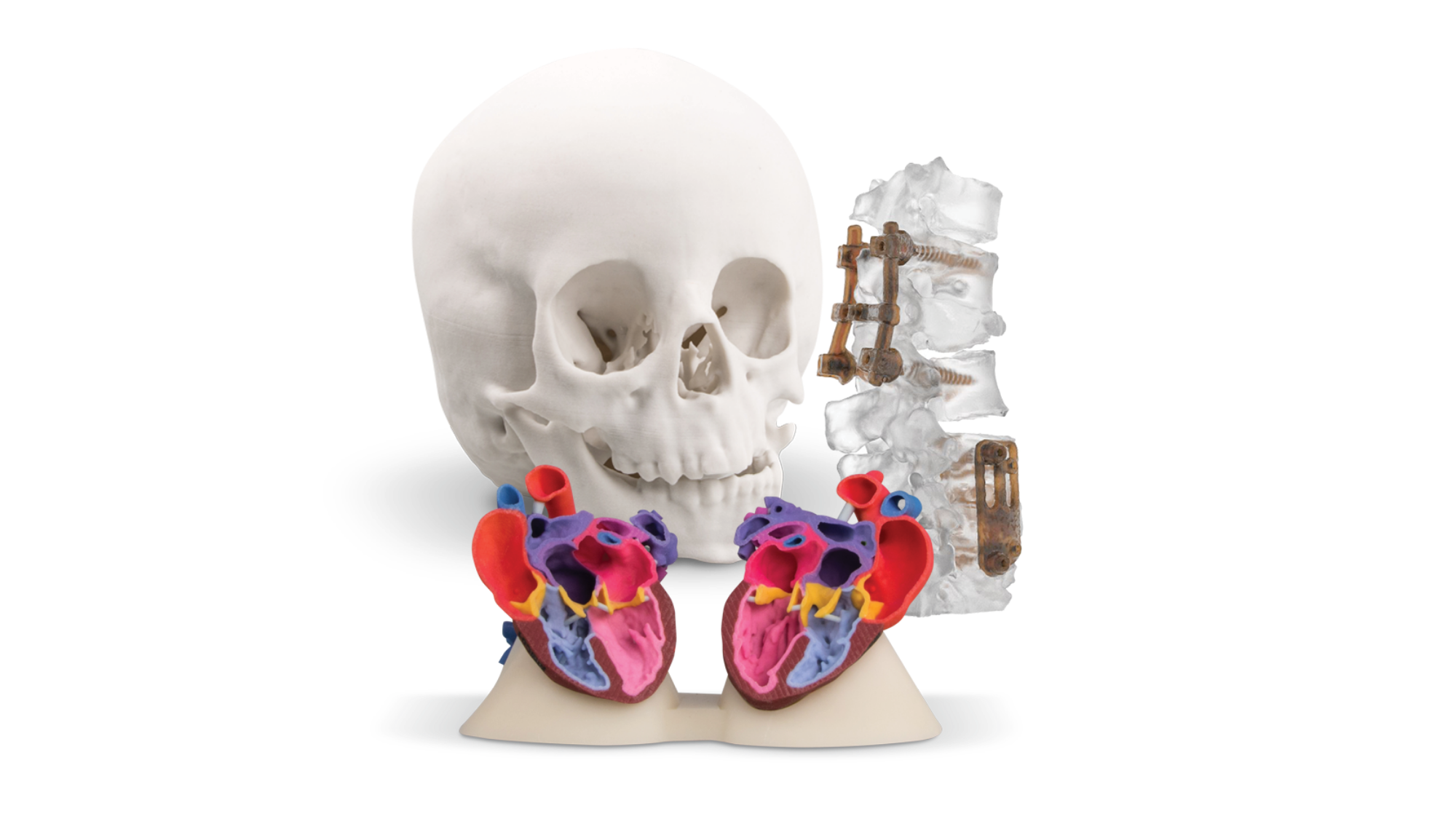 AnatomyExample.png